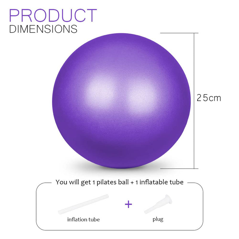 flintronic Mini Pilates Ball, Small Anti Burst Exercise Ball for Yoga, Pilates, Balance, Physical Therapy, Stretching and Core Fitness - Includes Stability Ball Workout Guide Purple - NewNest Australia