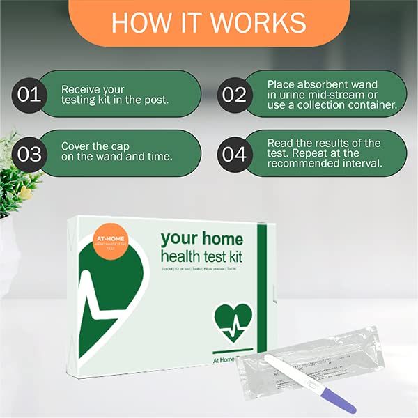 Pack of 2 Menopause Test Kit for Women by Test Your Intolerance - Self Check Menopause Test Gives Result in 3 Minutes with 99% Accuracy Menopause Home Test Kit - NewNest Australia