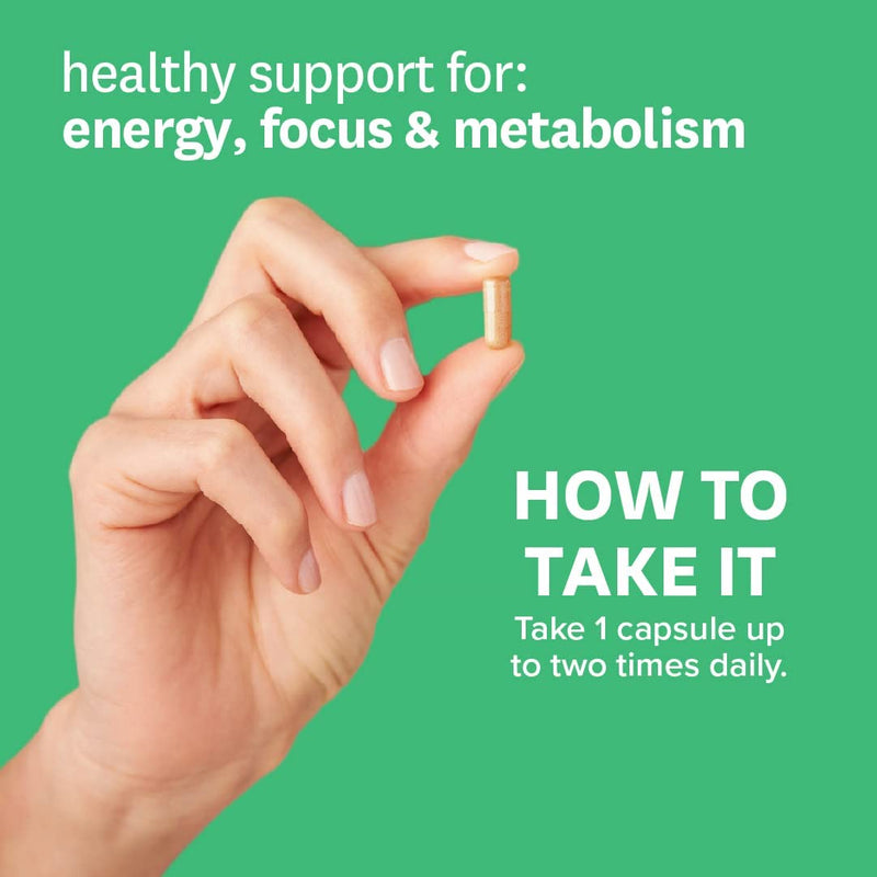 Zenwise Green Tea Extract with EGCG & Vitamin C - Antioxidant & Immune Supplement - Vegan Skin & Heart Support + Brain Health & Memory Boost - 120 Count - NewNest Australia