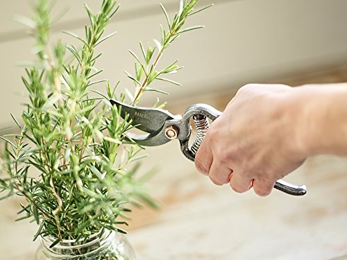 Barebones | Japanese Pruner - Old World Japanese Design, Durable Steel Construction - NewNest Australia