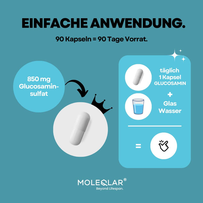 Moleqlar Glucosamine Capsules High Dose 850 Mg Per Serving Storage Pack With 90 Vegan Premium Capsules Pure Bioavailable Glucosamine Sulphate Laboratory Tested In Germany Gluten-Free & Vegan - NewNest Australia