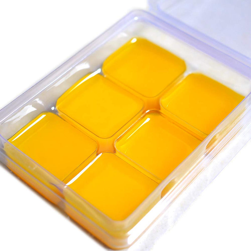 DGQ Wax Melt Molds - 25 Packs Clear Empty Plastic Wax Melt Clamshells for Wickless Wax Melt Candles - NewNest Australia