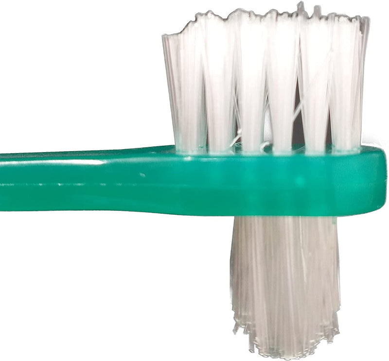 Denture Brush [Pack of 10] Individually Bagged Cleaning Brushes for ...