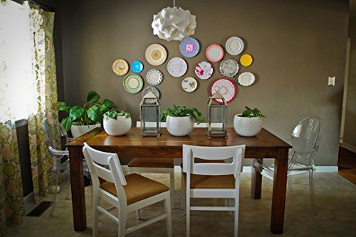 Invisible English Disc Adhesive Large Plate Hanger Set (4-4 Inch Hangers) 1 - NewNest Australia
