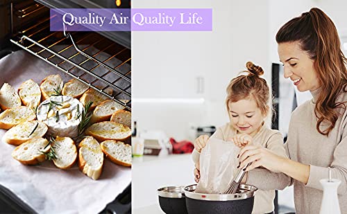 Amazinpure 2 Pack Range Hood Filter 97007696 Aluminum Charcoal Combo Compatible with OEM Part# Whirlpool W10355450 Broan Nutone 6105C 41F 413023 41000 46000 11000 4341999 4378581 1172266 5-3082 51113711 (8.75 x 10.5) in - NewNest Australia