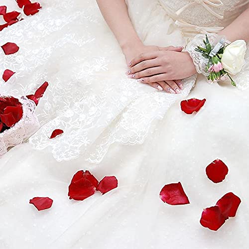 DoraMagic Dried Red Rose Petals, Real Natural Dried Rose Petals 1.75oz/50g for Bath, Soap Making, Candle Making, Wedding, Confetti, DIY Crafts, Non Edible - NewNest Australia