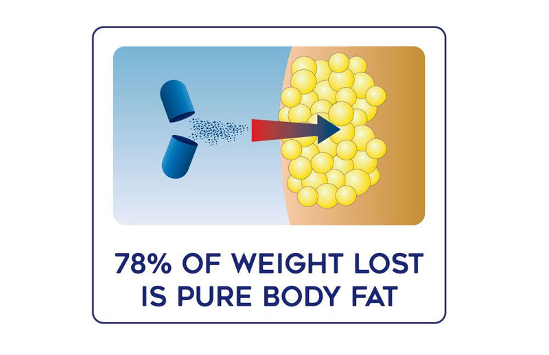 Lipozene MEGA Bottle - 120 Capsules - Largest Size Available - Appetite Suppressant and Control 120 Count (Pack of 1) - NewNest Australia