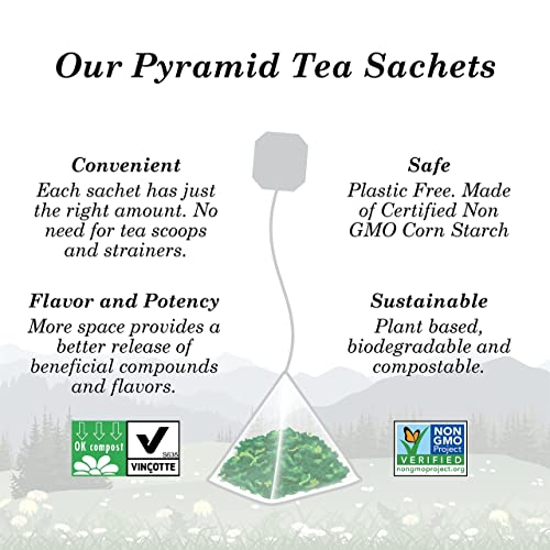 Wild Bliss St Johns Wort Tea - Organic Caffeine Free Herbal Tisane - Pharmacopoeia Potency - 20 Tea Bags Metal Canister - 25 Tea Bags - NewNest Australia