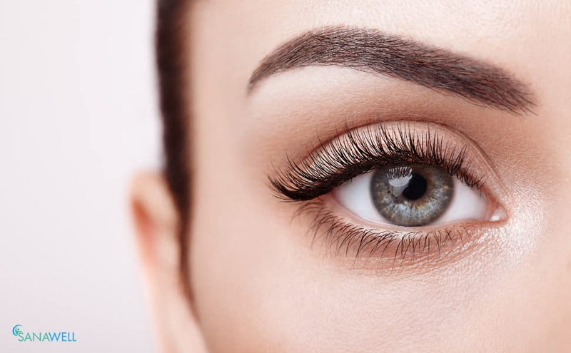 Perfect Eye | Eyelid spray | with Euphrasia | Eyebright | for dry eyes | suitable for contact lenses - NewNest Australia