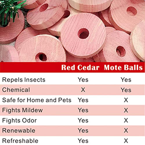 NewNest Australia - Cedar Space Cedar Blocks for Clothes Storage 100% Natural Aromatic Red Cedar Rings Protection for Wardrobes Closets and Drawers 24 Rings 