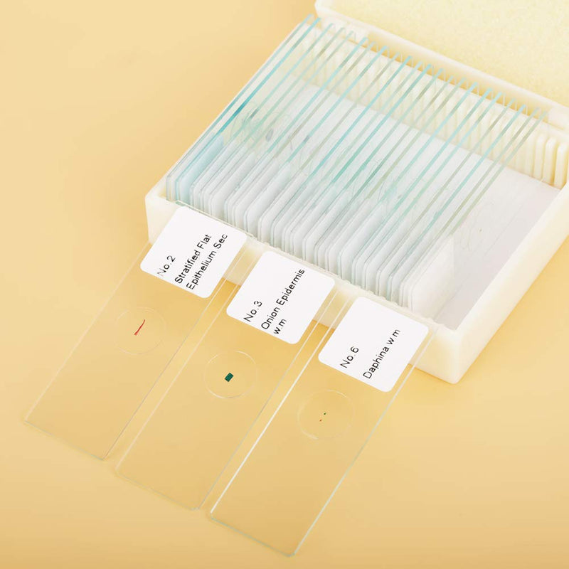 Pack of 25 Professional Biology Glass Prepared Microscope Slides Set Lab Specimens Includes Fitted Box for Basic Biological Science Education Kids Student Home School - NewNest Australia