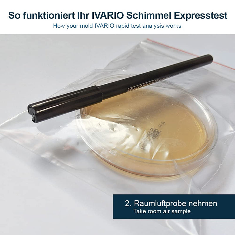 Mold Test - Express Test For Home: The Mold Quick Test - Includes Easy-To-Follow Instructions, Evaluation Chart And Mold Guide - Test Your Room Air For Mold Traces - NewNest Australia
