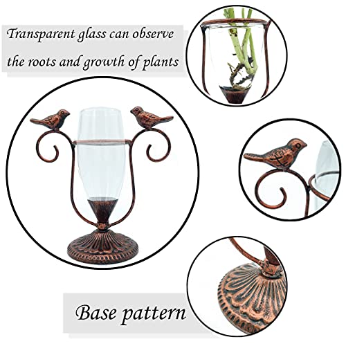 POXOHO Desktop Plant Terrarium, Iron Bird Art Glass Propagation Vase, Propagation Planters with Vintage Metal Frame, Suitable for Decoration of Desktop Hydroponic Plants in Office and Living Room - NewNest Australia