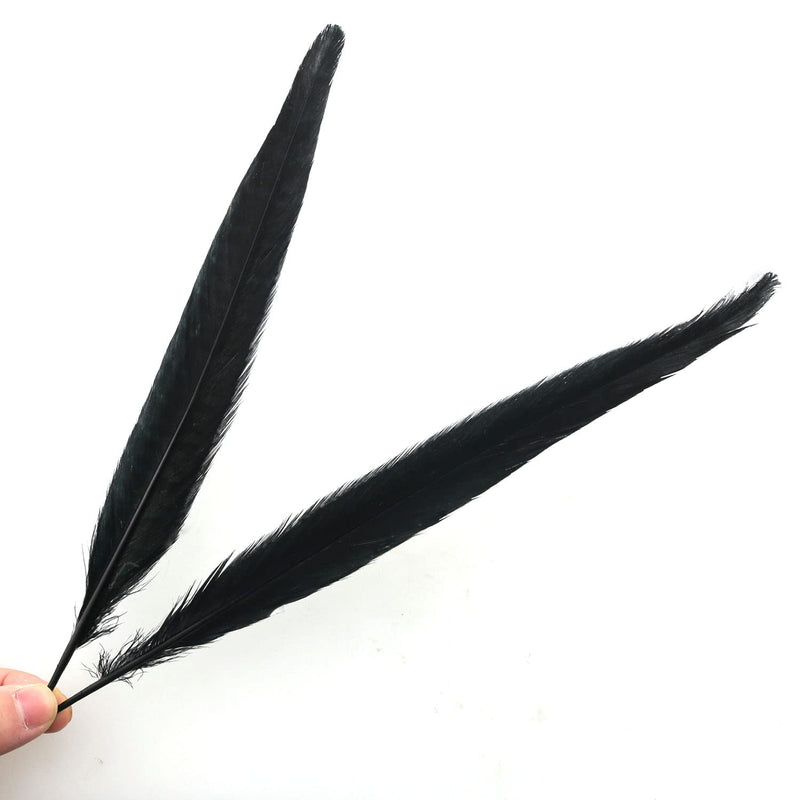 Natural Pheasant Tails ZZHXSM 15pcs Black Natural Pheasant Feather Pheasant Tail 10-11.8 Inches Hat DIY Accessories Pheasant Feathers - NewNest Australia
