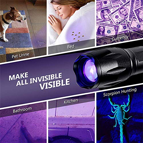 UV Flashlights Rechargeable, PROFORUS Ultraviolet Flashlight 365nm & 395nm Double UV Light Source Blacklight Flashlight Torch 2 in 1 Zoomable for Detect Pet Urine Stains Scorpions Art Photography - NewNest Australia