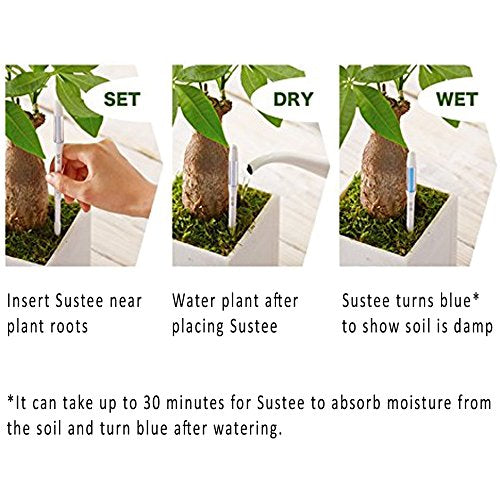 IPPINKA Sustee Aquameter Set of 2, Plant Moisture Sensor, (White, Small, Refillable) - NewNest Australia