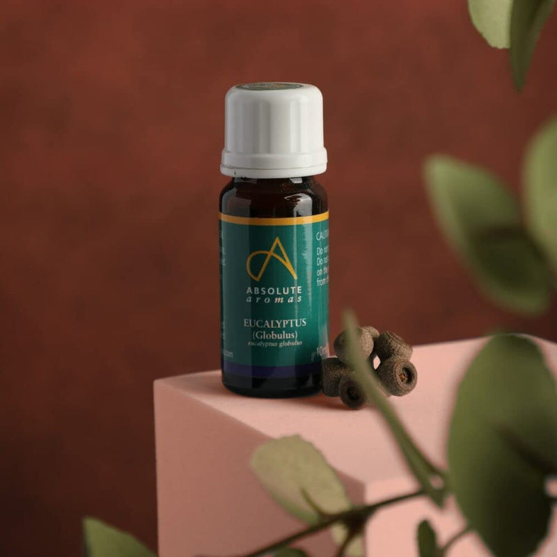 Absolute Aromas Eucalyptus Essential Oil 10ml - 100% Pure, Natural and Undiluted - an Antiseptic and Antibacterial Oil to Soothe and Clear - for use in Diffusers and Aromatherapy 10 ml (Pack of 1) - NewNest Australia