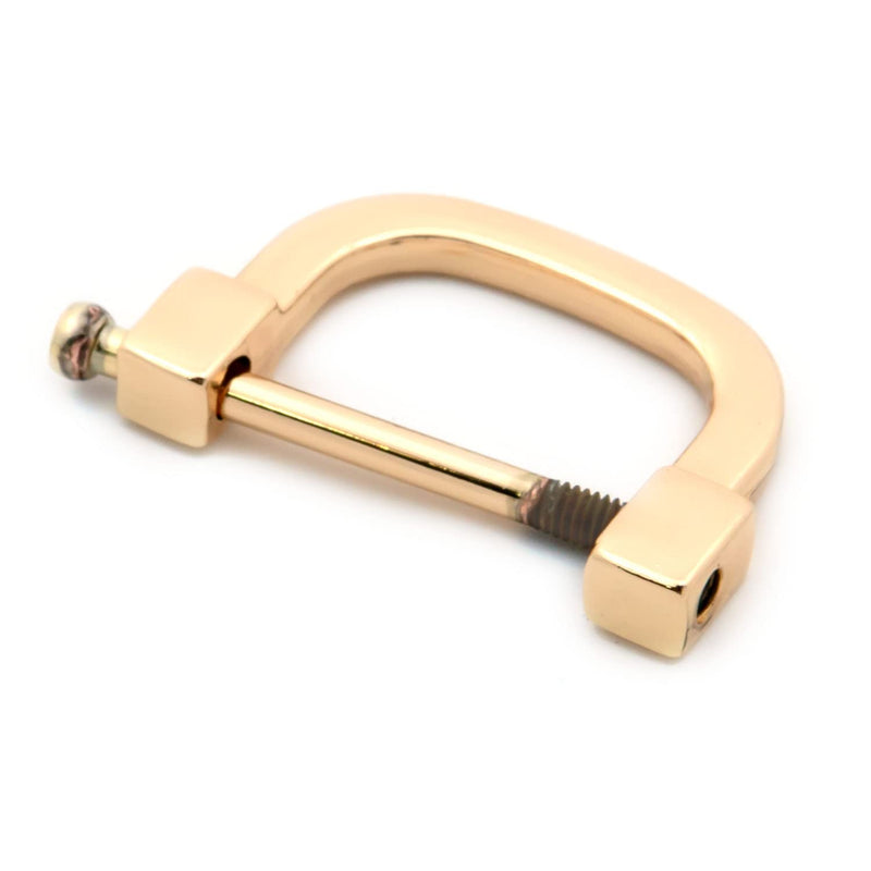 Loosco Horseshoe D-Rings,4 PCS Screw in Shackle D Ring for Purses,Belt Clasps,Leather Craft Accessories,Purse Findings (Brushed Brass,1") Brushed Brass 1" - NewNest Australia