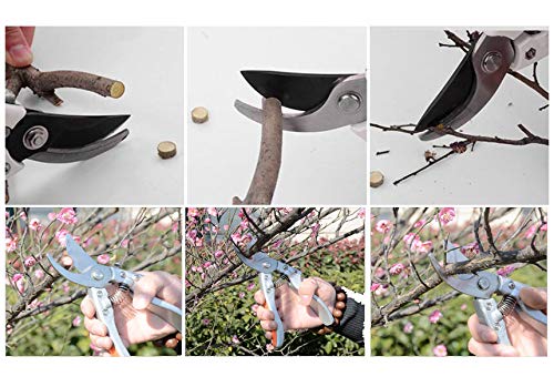 sky-w 8" Bypass Pruner,Hand Pruners, Garden Clippers,Aluminum Alloy Handle(Pack of 1) - NewNest Australia