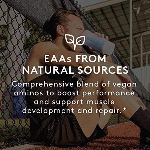 RSP Vegan AminoLean - All-in-One Natural Pre Workout, Amino Energy, Weight Management - Vegan BCAAs, Preworkout for Men & Women, Acai, 25 Serv 7.93 Ounce (Pack of 1) - NewNest Australia