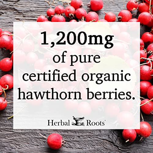 Herbal Roots Organic Hawthorn Berry Capsules - Heart Health - Extra Strength 1,200mg per Serving, Vegan, Made in The USA - NewNest Australia