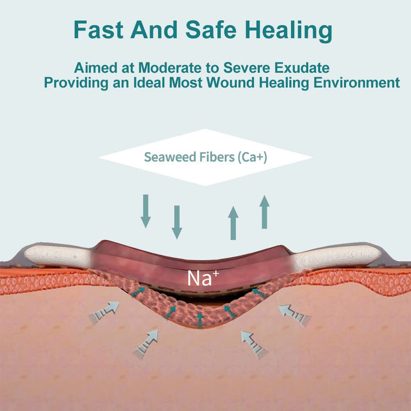 Winner Medical Calcium Alginate Wound Dressing Pads 4'' x 4'', Sterile (Box of 10) Antimicrobial, Non-Stick Padding, Highly Absorbent & Comfortable| Flexible & Gentle on The Skin, Faster Healing - NewNest Australia