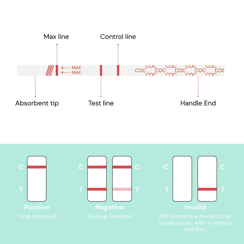 10 X Accudoctor Drug Test For Detecting Cocaine 300 Ng/Ml In Urine Urine Test Drug Strips Steo Quick Test Drug Test Strips Drug Quick Test One Drug Test Kit Self-Test - NewNest Australia