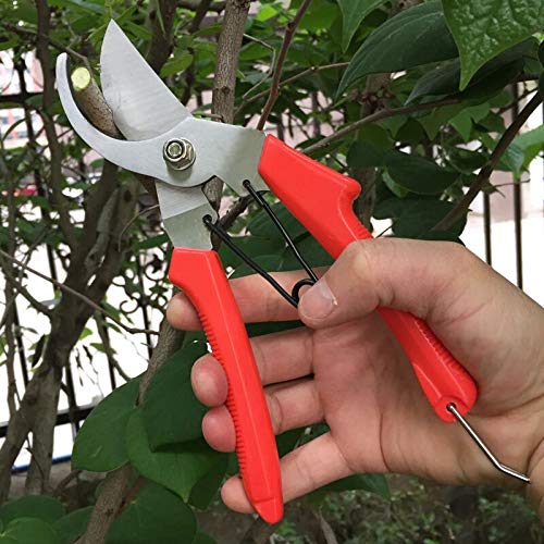 Labor-Saving Manual Fruit Picking Scissors Tree Shears Garden Gardening Pruning Scissors - NewNest Australia