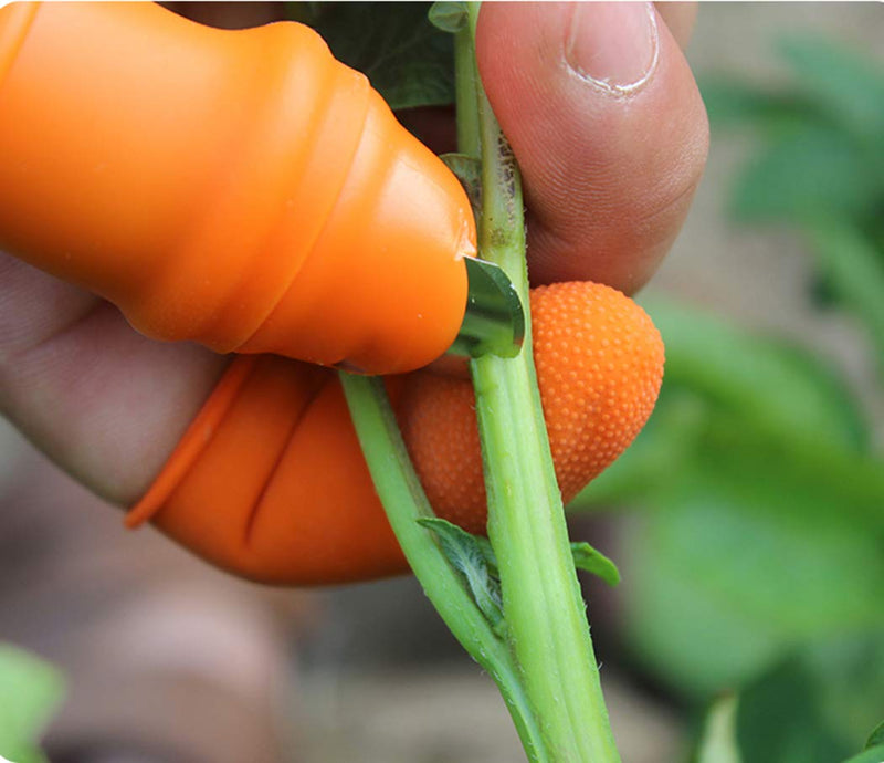 Fruit and Vegetable Picking Potted Plants Trim Silicone Thumb Knife Set Picking Portable Knife Garden Tools (1) 1 - NewNest Australia