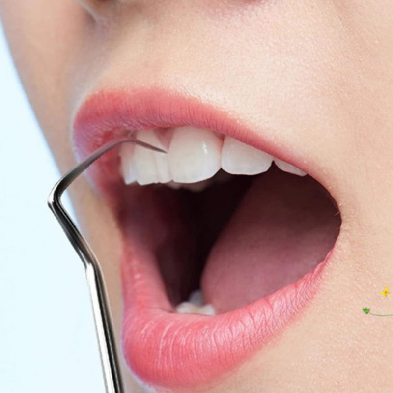 2 Set/ 6Pcs Pocket Toothpick Holder Keychain Toothpicks Set Titanium Toothpick Cleaning Tooth Hook Scraper Metal Toothpick Holder Dental Picks for Camping Picnic Outdoor - NewNest Australia