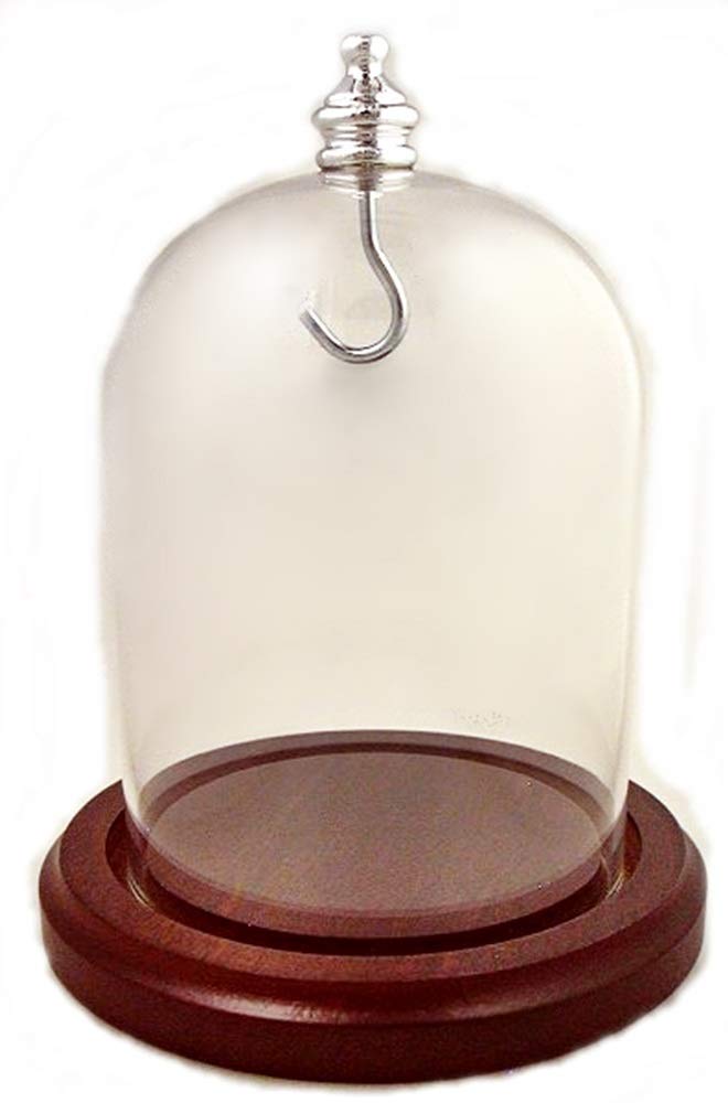 NewNest Australia - 3 x 4 Pocket Watch Glass Display Dome Cloche, Silver Knob & Hook, Walnut Stained Base 