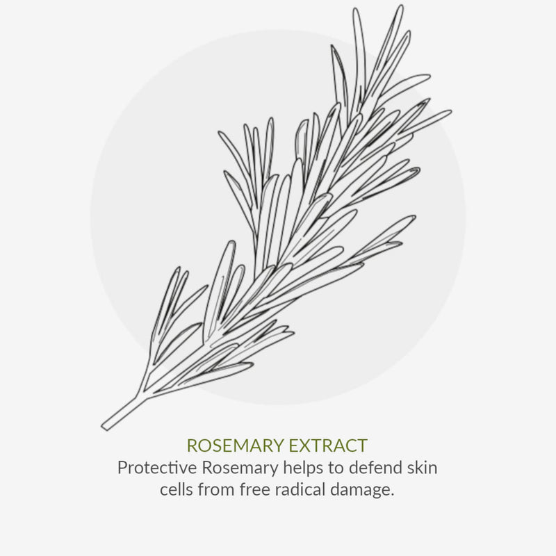 Green People Rosemary & Prebiotics Deodorant 75ml | Natural & Organic Deodorant | Gentle Rosemary & Lavender Floral Scented Deodorant for Women | Paraben Free & Ethanol Free | Cruelty Free & Vegan - NewNest Australia