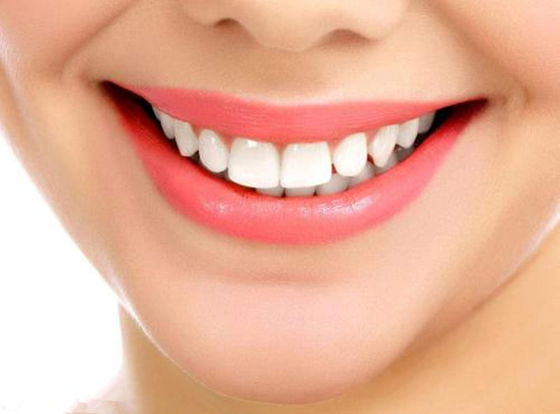 YanBan Oral Hygiene Standard Plastic Handle for Waterpik WP100 WP100e WP450 WP660 WP900, White - NewNest Australia