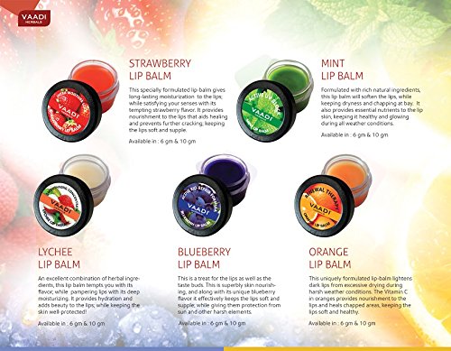 Vaadi Herbals Organic Lip Balm - Assorted Pack Of 5 Lip Balm Sets - Lip Treatment Paraben Free - Sulfate Free 5 X 10 Gms - NewNest Australia