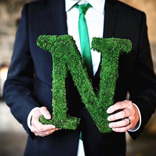 BYHER Roll of Green Moss for Fairy Gardens Wedding Other Arts and Crafts (10x120cm (4" W x 48" L)) 10x120cm (4" W x 48" L) - NewNest Australia