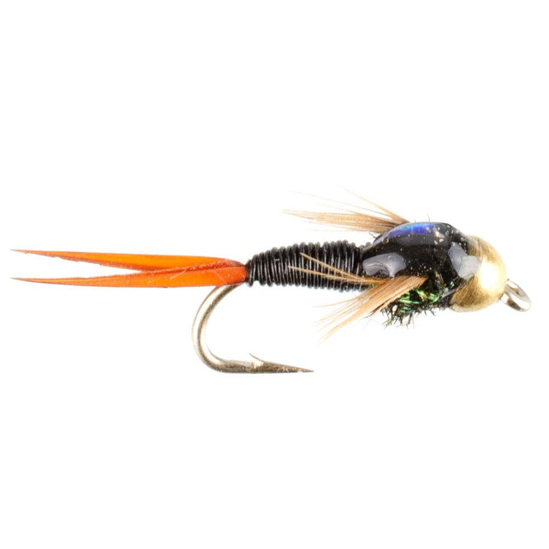 The Fly Fishing Place Bead Head Black Copper John Nymph Fly Fishing Flies - Set of 6 Flies Hook Size 16 - NewNest Australia