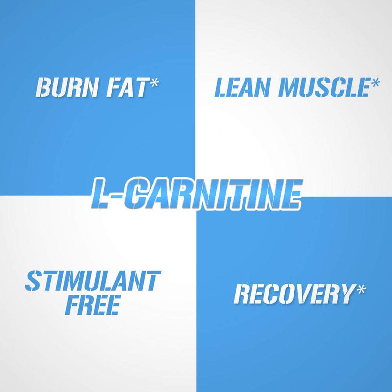 Evlution Nutrition L-Carnitine500, 500 mg of Pure L Carnitine in Each Serving, Stimulant-Free, Capsules (120 Servings) 120 Count (Pack of 1) - NewNest Australia