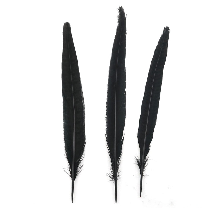 Natural Pheasant Tails ZZHXSM 15pcs Black Natural Pheasant Feather Pheasant Tail 10-11.8 Inches Hat DIY Accessories Pheasant Feathers - NewNest Australia