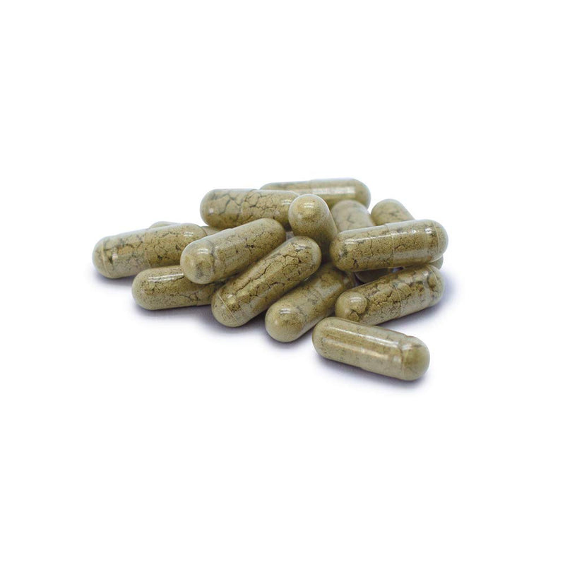 Dr. Jacob's Iodine Probio 31.6 g can I natural iodine from sea algae I with selenium, vitamin B12 and lactobacilli and bifidobacteria I for the immune system¹ and thyroid² I 90 portions, vegan - NewNest Australia