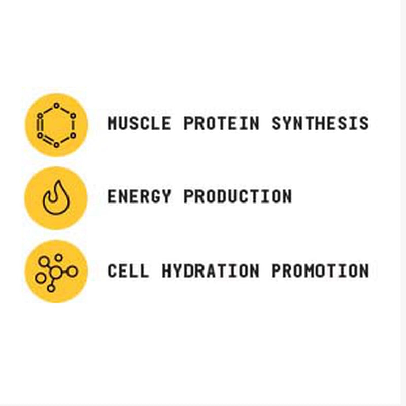 Beyond Raw Chemistry Labs Creatine HCl Powder | Improves Muscle Performance | 60 Servings - NewNest Australia