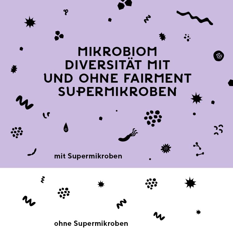 fairment SuperMikroben® - Innovative Premium Probiotics [Microbes of the Year 2023] | Intestinal Treatment for Bloating, Irritated Bowel | Intestinal Bacteria with Fibre + Zinc | Made in Germany - NewNest Australia