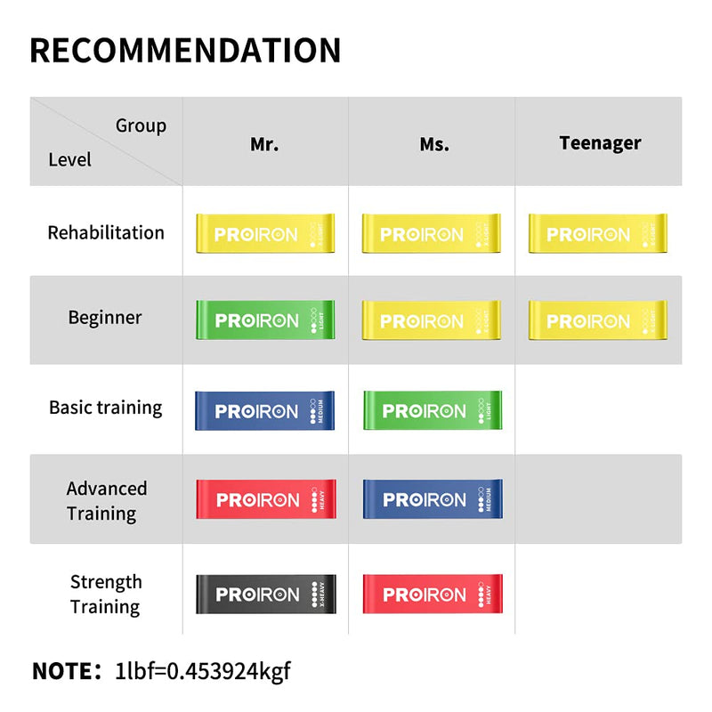 PROIRON Resistance Bands, Resistant Bands, Exercise Bands Resistance for Women and Men, Stretch Bands for Exercise, Gym Bands Set of 5 with Guide and Carrying Bag #1 classic set - NewNest Australia