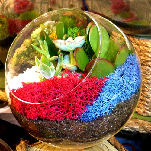 Mosser Lee ML3020 Assorted Reindeer Decorative Moss, 3 ounce - NewNest Australia