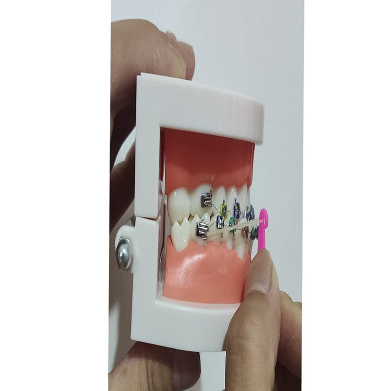 RZJZGZ Dental Elastic Rubber Bands Placers for Braces Disposable Plastic Orthodontic Elastic Placers Multi-color (30Pcs) 30Pcs - NewNest Australia