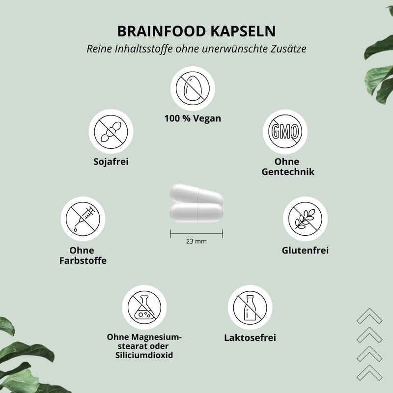 Concentration Tablets - Brain Booster - Brain Focus Performance Memory - Learning Aid Capsules High Dose - Supplement With Caffeine, Choline, Ginseng - Nutri-Plus Brainfood Vegan - NewNest Australia