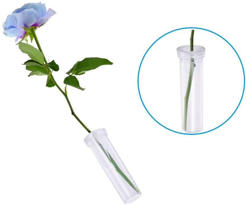 21 Pack Floral Water Tubes with Rack Holder Flower Vials Water Container for Flower Arrangements, Milkweed Cuttings 21 Pack Tubes - NewNest Australia