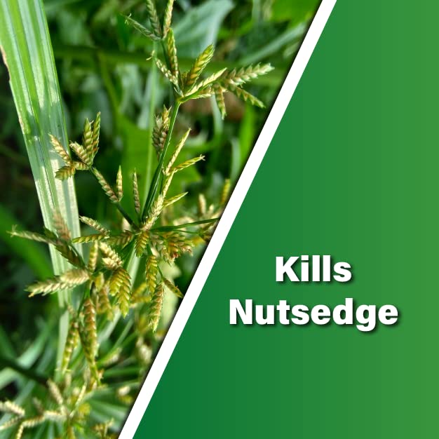 Empero Nutsedge Killer for Lawns (1.33 oz) - Halosulfuron Turf Herbicide - Kills Nut Grass in Established Lawns, Ornamental Turfgrass, & Landscape Areas - NewNest Australia