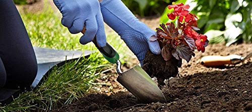 Edward Tools Bend-Proof Garden Trowel - Heavy Duty Polished Stainless Steel - Rust Resistant Oversized Garden Hand Shovel for Quicker Work - Digs Through Rocky / Heavy soils - Comfort Grip (1) 1 - NewNest Australia