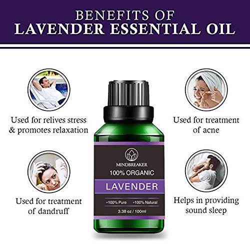 Organic Lavender Essential Oil, Scented Oils with Organic Aromatherapy 100% Pure Therapeutic Essential Oils of the Highest Quality (100ml) - NewNest Australia