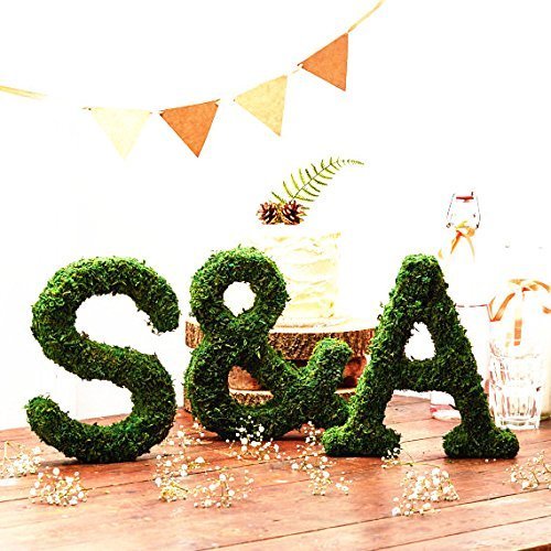 BYHER Roll of Green Moss for Fairy Gardens Wedding Other Arts and Crafts (10x120cm (4" W x 48" L)) 10x120cm (4" W x 48" L) - NewNest Australia